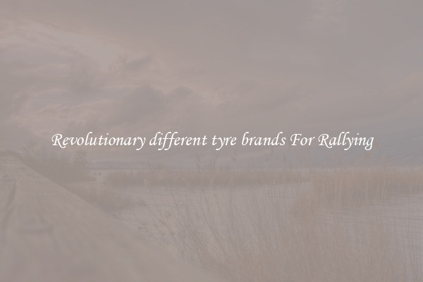 Revolutionary different tyre brands For Rallying