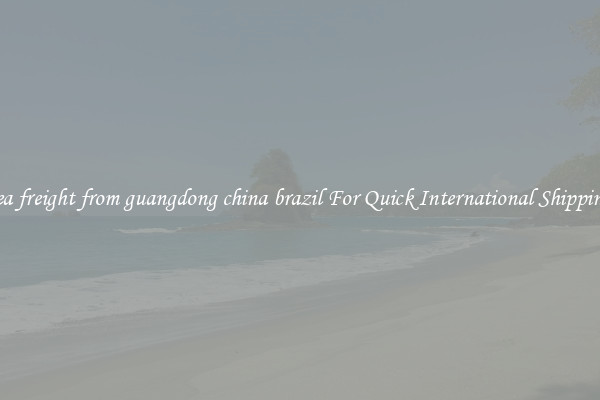 sea freight from guangdong china brazil For Quick International Shipping