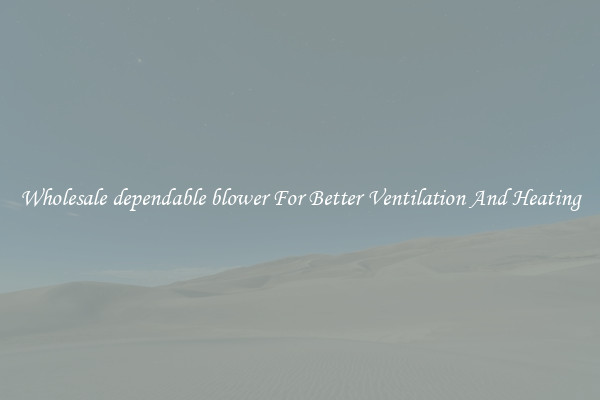 Wholesale dependable blower For Better Ventilation And Heating