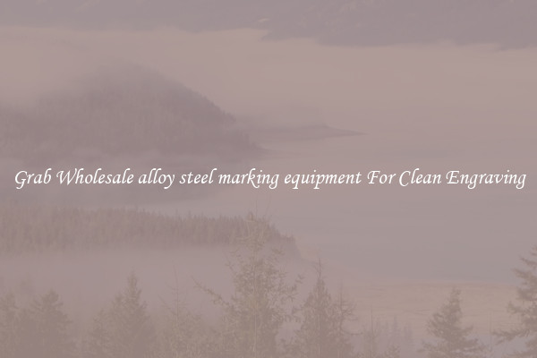 Grab Wholesale alloy steel marking equipment For Clean Engraving