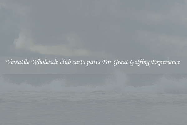 Versatile Wholesale club carts parts For Great Golfing Experience 