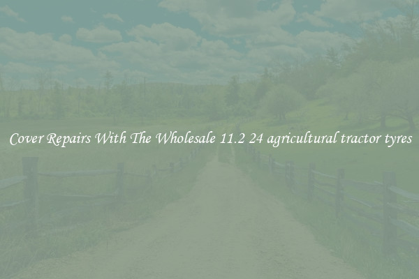  Cover Repairs With The Wholesale 11.2 24 agricultural tractor tyres 