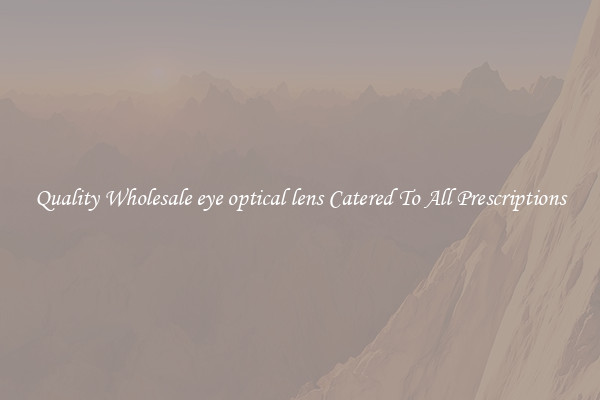 Quality Wholesale eye optical lens Catered To All Prescriptions