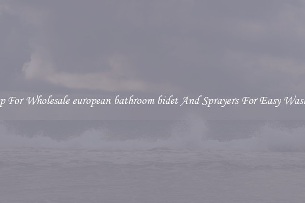 Shop For Wholesale european bathroom bidet And Sprayers For Easy Washing
