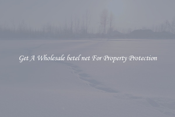 Get A Wholesale betel net For Property Protection