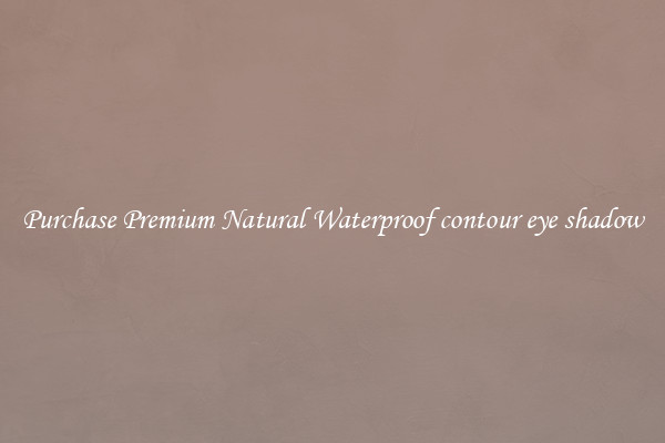 Purchase Premium Natural Waterproof contour eye shadow