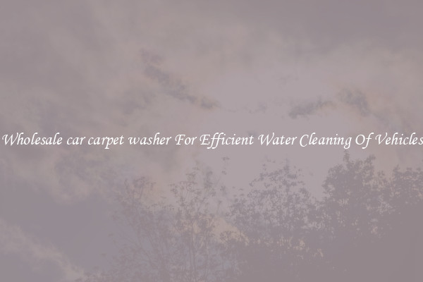 Wholesale car carpet washer For Efficient Water Cleaning Of Vehicles