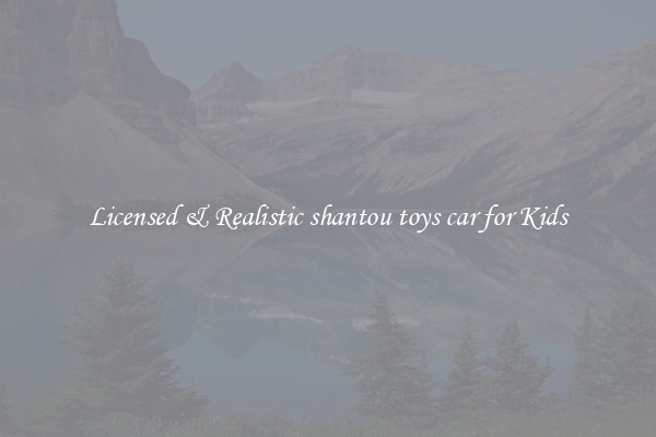 Licensed & Realistic shantou toys car for Kids