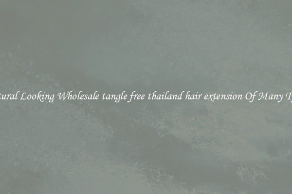 Natural Looking Wholesale tangle free thailand hair extension Of Many Types