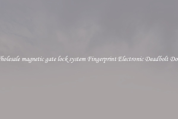Wholesale magnetic gate lock system Fingerprint Electronic Deadbolt Door 