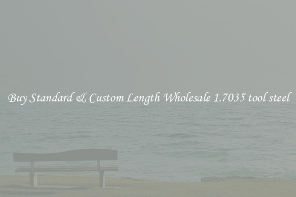 Buy Standard & Custom Length Wholesale 1.7035 tool steel