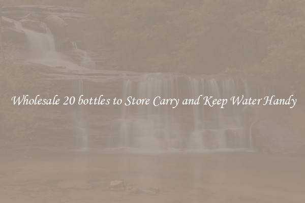 Wholesale 20 bottles to Store Carry and Keep Water Handy